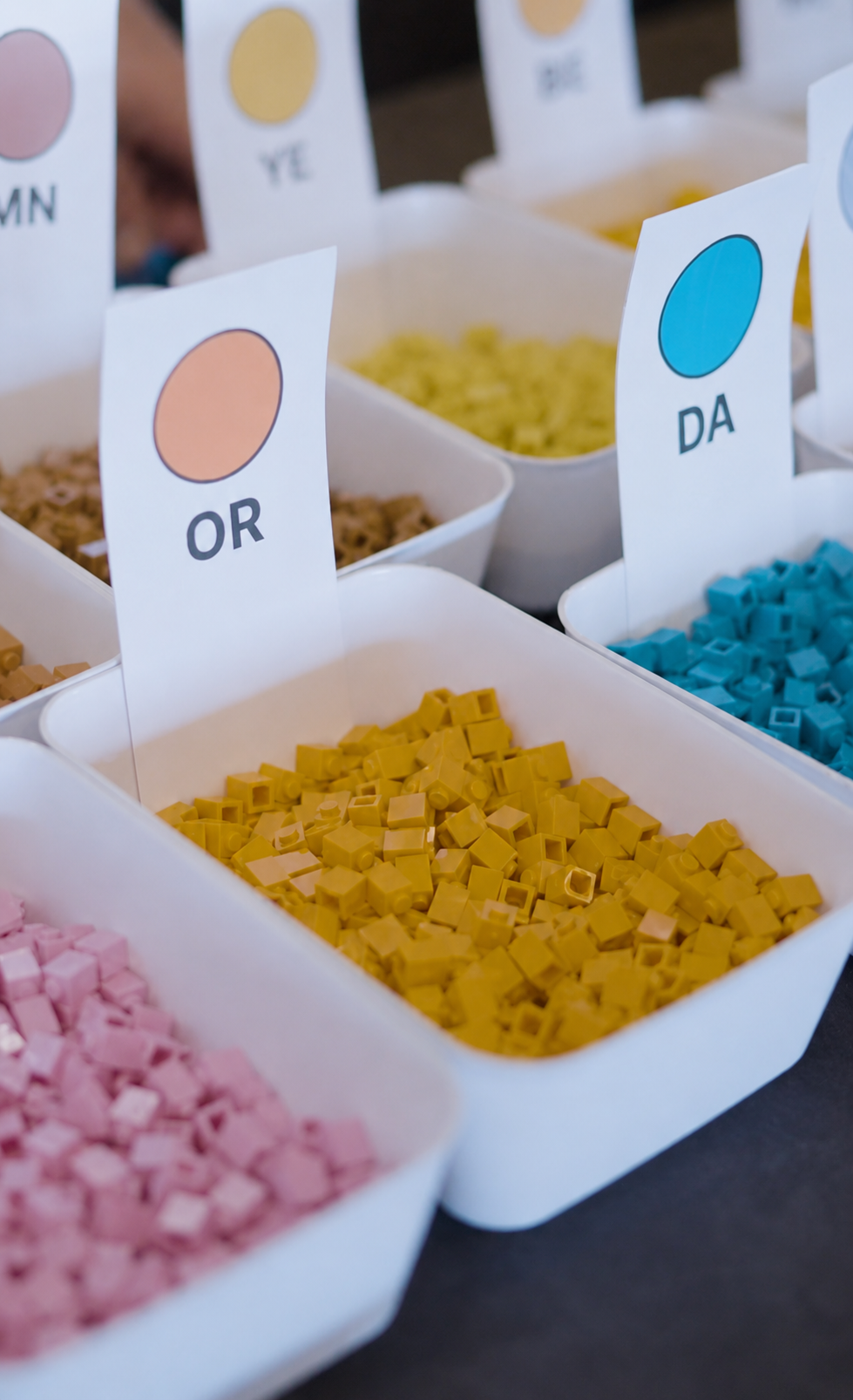 Color-sorted LEGO bricks for the SAS Innovate mosaic organized in white bins with labeled cards
